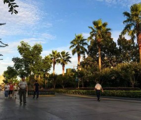 关于赛后印第安纳步行者迎来里程碑——欧联节点到来，信心回归，细节决定成败的信息-LOL电竞比赛押注