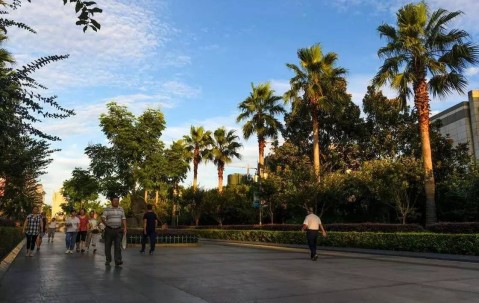 关于赛后印第安纳步行者迎来里程碑——欧联节点到来，信心回归，细节决定成败的信息-LOL电竞比赛押注