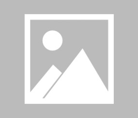 清晨德甲焦点战，波尔图迎来里程碑，气氛紧张，年轻球员得到机会的简单介绍-LOL赛事押注